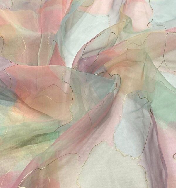 organza saree D-2 - Image 5