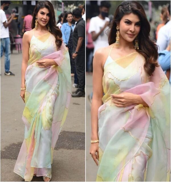 organza saree D-2 - Image 7