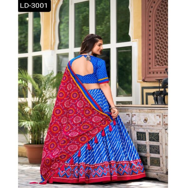 LD-3001 - Image 5