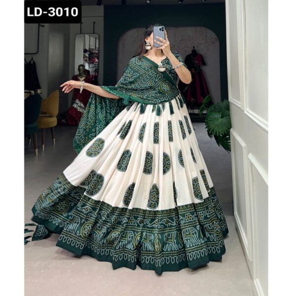 LD-3010 - Image 7