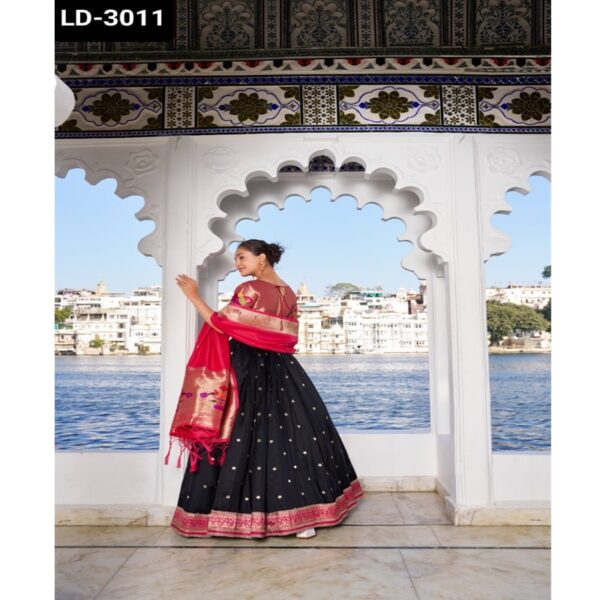 LD-3011 - Image 7