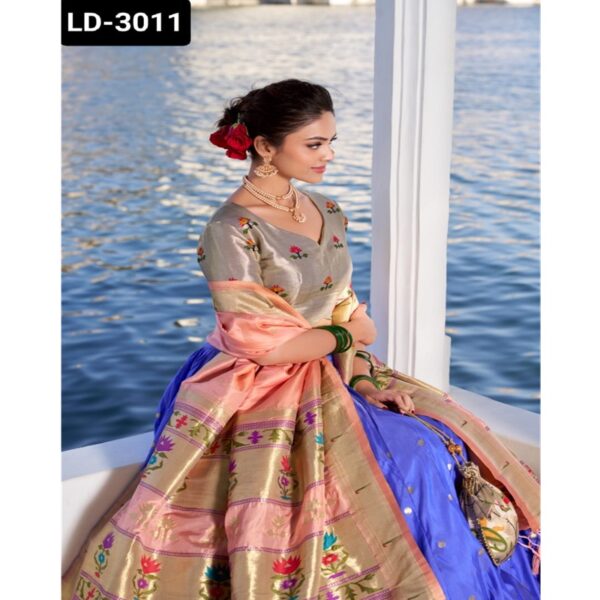 LD-3011 - Image 2