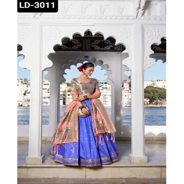 LD-3011 - Image 3