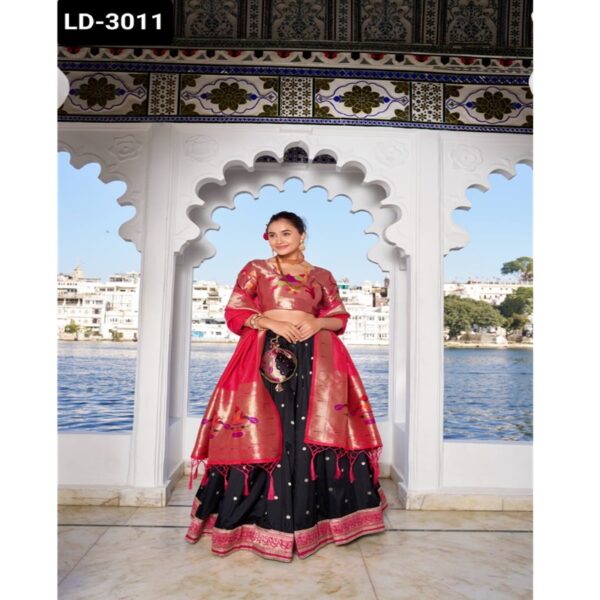 LD-3011 - Image 4