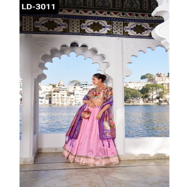 LD-3011 - Image 14