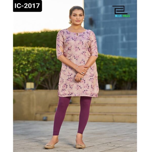 IC-2017 - Image 10