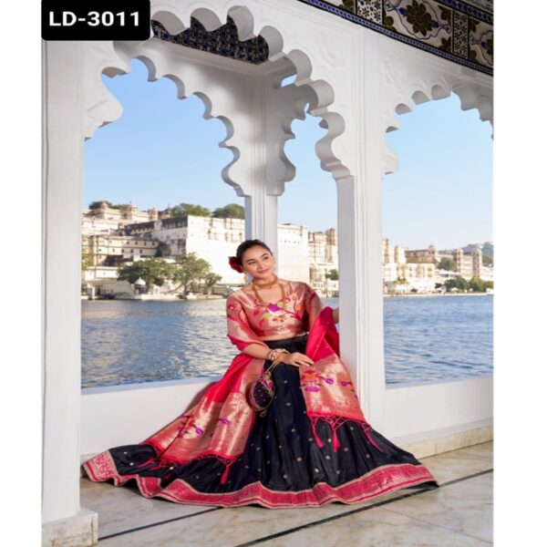 LD-3011 - Image 17